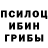 Псилоцибиновые грибы ЛСД Turbo Sonik